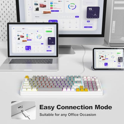 AK96 Mechanical Keyboard Smart Display & Knob, Top Mount 96% Wired Mechanical Keyboard USB-C, Hot Swappable, Software Support, Creamy Sounding, 96 Keys(Grey) - color: Gray