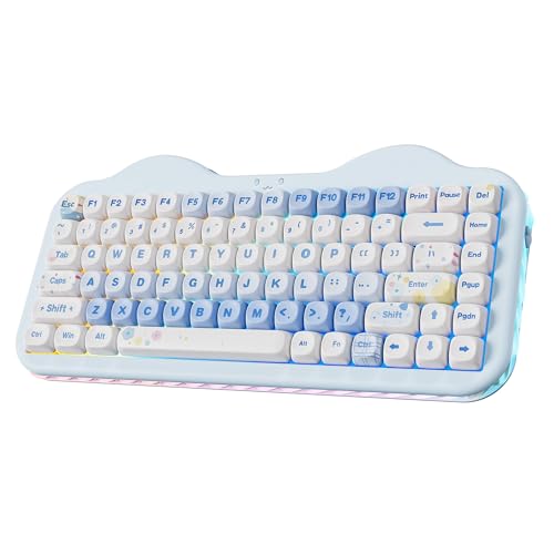 YUNZII C75 Wireless Mechanical Keyboard,75% Layout, Hot-Swappable NKRO,BT5.0/2.4G/USB-C Mode,Dye-Sub PBT MOA Keycaps,RGB Gasket Mount,Cute Cake Design for Mac/Win/Gaming (Blue, Milk V2 Switch) - color: Blue, size: Milk V2 Switch