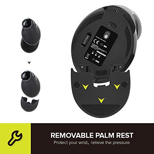 DELUX Wireless Ergonomic Vertical Mouse, Rechargeable Ergo Mouse for Large Hands, Slient Click, Removable Wrist Rest, Up to 4000 DPI, 6 Buttons,2.4G Dual Mode, Compatible with Laptop/PC (M618PD-Black) - color: Bluetooth+2.4G