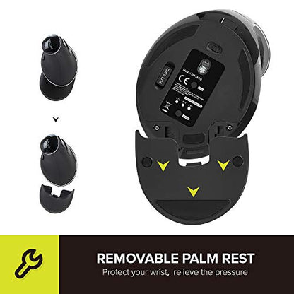 DELUX Wireless Ergonomic Vertical Mouse, Rechargeable Ergo Mouse for Large Hands, Slient Click, Removable Wrist Rest, Up to 4000 DPI, 6 Buttons,2.4G Dual Mode, Compatible with Laptop/PC (M618PD-Black) - color: Bluetooth+2.4G