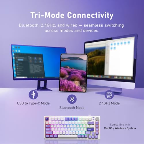 iRocks K103R Wireless Rechargeable RGB 75% Mechanical Gaming Keyboard, Hot Swappable Pre-lubed Switches, 81 PBT Keys, Gasket Mount, USB-C Detachable Cable (Lavender Purple, Bubble Switch) - color: Lavender Purple, size: Bubble Switch