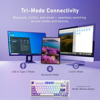 iRocks K103R Wireless Rechargeable RGB 75% Mechanical Gaming Keyboard, Hot Swappable Pre-lubed Switches, 81 PBT Keys, Gasket Mount, USB-C Detachable Cable (Lavender Purple, Bubble Switch) - color: Lavender Purple, size: Bubble Switch