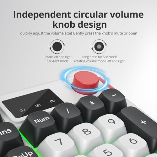 RGB Mechanical Feel Membrane Wireless Keyboard, Wired/Bluetooth/2.4G Silent ABS Ball Cap Gasket Structure Gaming Office Keyboard for PC/Mac/Win(98 White) - color: 98 White