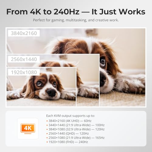 TESmart 8×1 HDMI Switch 8 in 1 Out 4K @ 60Hz HDCP with 19-inch Rack-Ears | RS-232 / LAN Control | IR Remote Control and Auto Switch | Auto Scan Time Interval - Black - style: HDMI Switch 8 ports 4K@60Hz