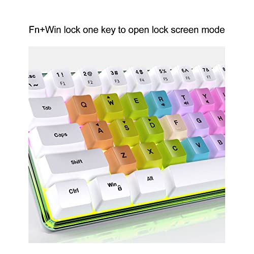 61 Keys Mechanical Gaming Keyboard RGB Backlit Compact 60 Percent Wired Keyboard with Colorful Keycaps for PC, Office Amp,Gaming Portable Mini Keyboard with Optical Switches (White) - color: White