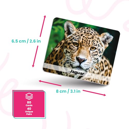 Menique Wild Animals Memory Matching Game – 80 Cards (40 Pairs) with Real Photos – Includes Educational Booklet with Animal Facts – Fun & Cognitive Game for Kids and Adults