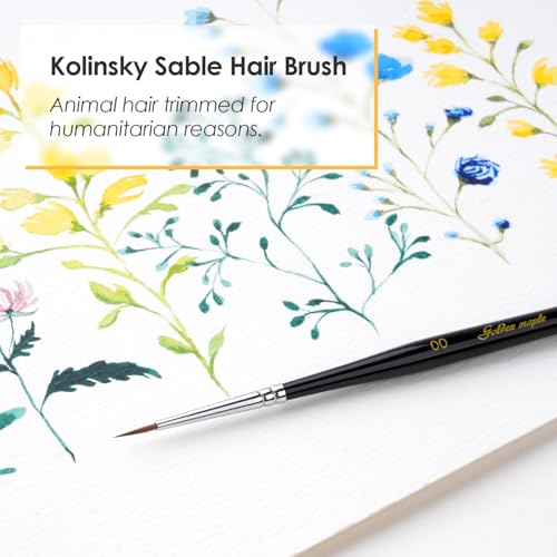 Kolinsky Sable Miniature Paint Brushes - Professional Artist Brush Size 00, Small Fine Detail Paint Brush Set for Mini Paints, Paint by Number, Figurine - size: 00