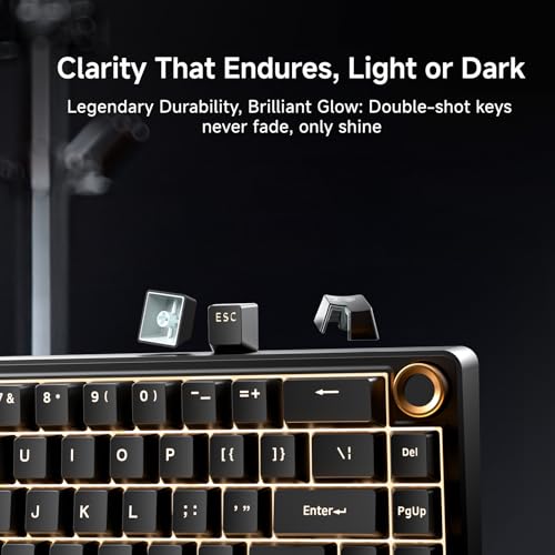 DIERYA DK68E 60% Mechanical Gaming Keyboard, Hot-Swappable, Wired, Black | Gasket Mount, Pre-Lubed Linear Switches, 5-Layer Foam, Programmable, Volume Knob, RGB Backlight, Double-Shot Keycaps - color: Black