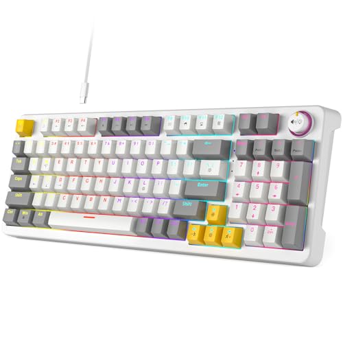AK96 Smart Mechanical Keyboard Gaming, 96 Keys Full Size with LED Colorful Backlit, Clicky Creamy Sounding, USB Wired Computer Keyboard with Volume Knob for PC, Mac, Windows (White) - color: White