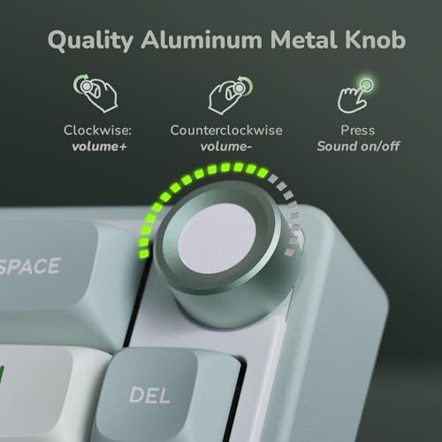 RK ROYAL KLUDGE R65 Wired Mechanical Keyboard, 60% Percent Creamy Gaming Keyboard Gasket Mount RGB Backlit with Programmable Knob, MDA Profile PBT Keycaps, QMK/VIA, Hot Swappable Linear Switch, Cyan - color: Cyan