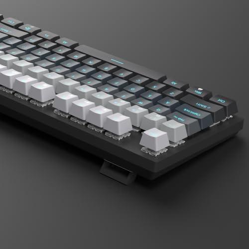 MageGee Mechanical Gaming Keyboard, Wired USB Adjustable Backlight Keyboard, New Mechanical Storm 100% Anti-ghosting Keyboard with Blue Switches for Windows PC/MAC Games - color: grey red switch