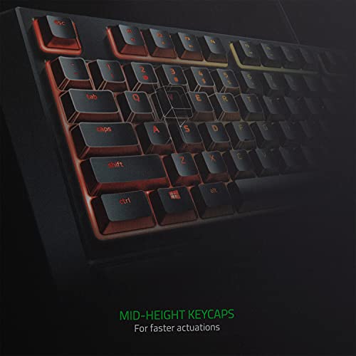 Razer Ornata Chroma Gaming Keyboard: Hybrid Mechanical Key Switches - Customizable Chroma RGB Lighting - Individually Backlit Keys - Detachable Plush Wrist Rest - Programmable Macro Functionality