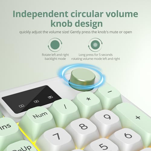 RGB Mechanical Feel Membrane Wireless Keyboard, Wired/Bluetooth/2.4G Silent ABS Ball Cap Gasket Structure Gaming Office Keyboard for PC/Mac/Win(White Green) - color: White green