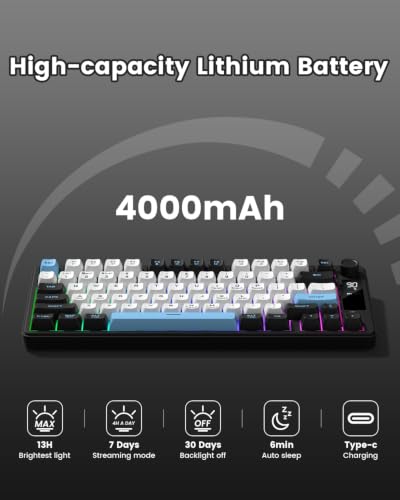 DK75 75% Wireless Gaming Keyboard, RGB Backlit Creamy Keyboard with Media Knob, OLED Screen, Tri-Mode 2.4GHz/USB-C/BT5.0, Anti-Ghosting No-Conflict Silent Membrane Keyboard for MAC Windows - color: Black&Blue