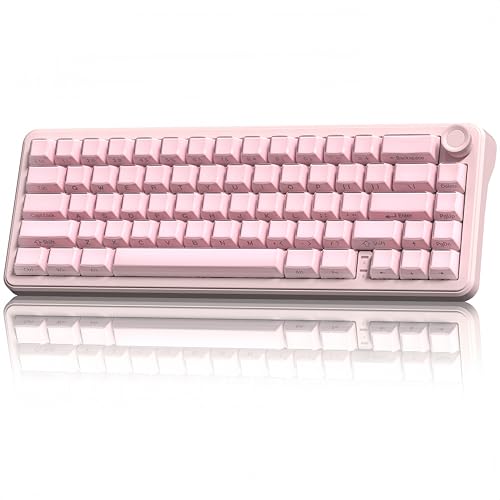womier L65 60% Pink Mechanical Keyboard with Knob,4000mAh,Tri Mode USB-C/BT5.0/2.4G,RGB Backlit,Hot Swap,Crystal Jelly keycaps,Linear Switch,Gasket Mounted Wireless Gaming Keyboard for PC/Mac - color: Pink Jelly