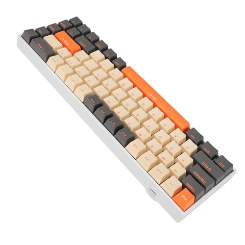 60 Percent 68 Keys Mechanical Keyboard, RGB Backlit Ergonomic Type C Wired Gaming Keyboard for Computer with Red Switch, Hot Swappable Compact Design for Home Office