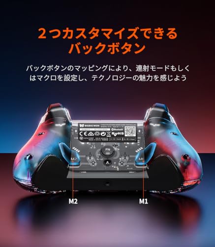 BIGBIG WON Wired PC Controller, Rainbow Game Controller RGB Light, Motion Aim, Custom Buttons, Macro, Turbo, Dual Shock Wired Controller for Switch/Win10&11 Controller for PS5/PS4 via R90 Adapter-1pc - size: C1S