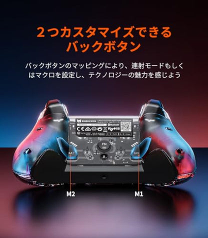 BIGBIG WON Wired PC Controller, Rainbow Game Controller RGB Light, Motion Aim, Custom Buttons, Macro, Turbo, Dual Shock Wired Controller for Switch/Win10&11 Controller for PS5/PS4 via R90 Adapter-1pc - size: C1S