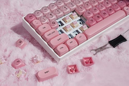 ZORNHER ZH100 Foundation Mechanical Kevboard,Pink Creamy Kevboard with Number Pad,Girly Keyboard,Full Size Gaming Keyboard Cute,Jelly MOA Profile,Creamy Sounding Linear Switches - color: Pink Foundation, size: Creamy Switch