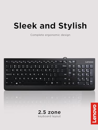 Lenovo 300 USB Keyboard, Wired, Adjustable Tilt, Ergonomic, Windows 7/8/10, GX30M39655, Black | Full-size office typing with wired USB connection and 1 year warranty - style: Keyboard