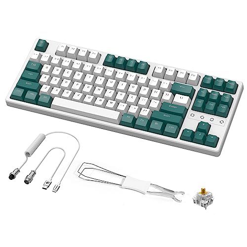 Wireless Gaming Keyboard and Custom Coiled USB C Cable,Triple Mode 2.4GHz/BT 5.0/USB-C,TKL Hot Swappable Mechanical Keyboard Yellow Switches,Rechargeable 3000mAh for PC PS5 PS4 Xbox-2 in 1 Kit - color: White green yellow switch