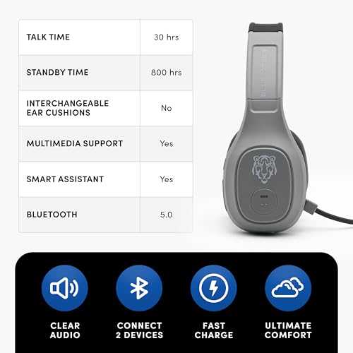 Blue Tiger Storm Gray - Premium Trucker Bluetooth Headset - Wireless Noise Canceling Mono Headset with Mic - High-Fidelity Sound, 30-Hour Talk Time, USB-C Charging - for Truck Drivers, Bluetooth 5.0 - color: Gray, style: Storm