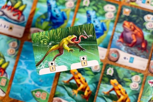 Capstone Games Pondscape - Strategy Card Game for Adults & Teens - 2 Player or More - Asymmetrical, Mystery, Role-Based & Thematic Card Game for Game Night & Family Fun