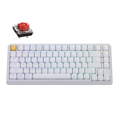 Keychron KJ1 Low Profile Wireless Mechanical Keyboard - 75% Layout Red Switch, QMK RGB Backlit, 2.4G/Bluetooth/USB-C, Double-Shot PBT Keycaps, 2000mAh Battery, Mac/Win/Linux Compatible - White - style: White - Red Switch