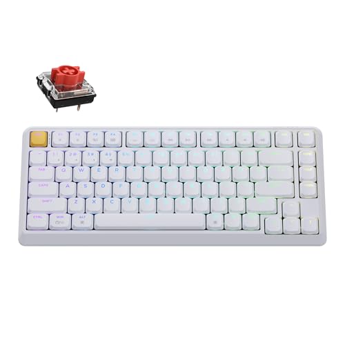 Keychron KJ1 Low Profile Wireless Mechanical Keyboard - 75% Layout Red Switch, QMK RGB Backlit, 2.4G/Bluetooth/USB-C, Double-Shot PBT Keycaps, 2000mAh Battery, Mac/Win/Linux Compatible - White - style: White - Red Switch