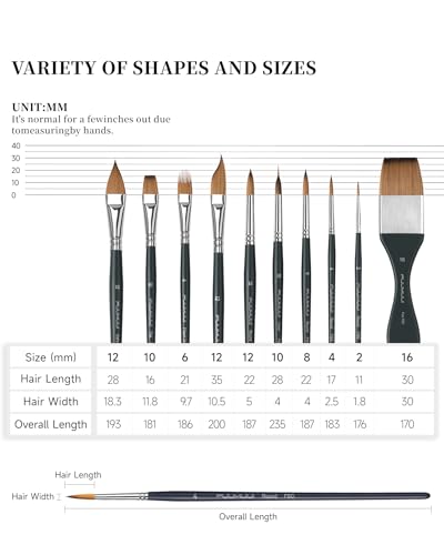 Fuumuui Watercolor Brush Set, 10Pcs Professional Soft Synthetic Hair Paint Brushes - Wide Flat, Dagger, Cat's Tongue, Extended Needle, Round, Grainer for Watercolor Gouache Inks Painting - color: Black10