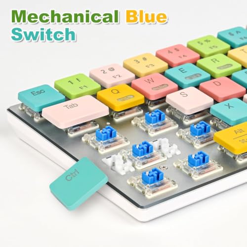 surmen 60% Wireless Mechanical Gaming Keyboard Ultra Thin Low Profile | Triple Mode 2.4GHz/USB-C/BT5.0, RGB Backlit, 68 Keys Low Profile Blue Switch Anti-Ghosting Keys for Gaming Office - color: Candy