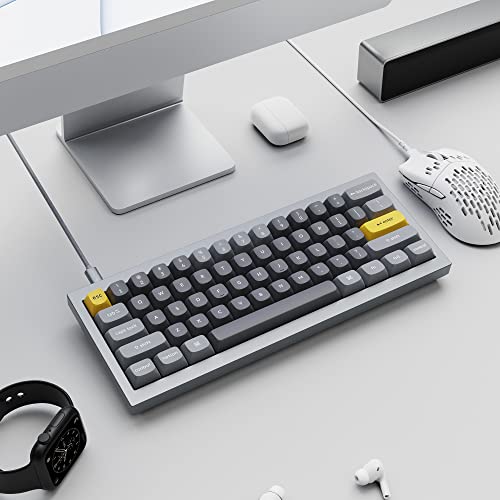Keychron Q4 Wired Custom Mechanical Keyboard, QMK/VIA Programmable Macro, Full Aluminum, Hot-Swappable Gateron G Pro Brown Switch, 60% Layout Double Gasket Compatible with Mac and Windows - Blue - color: Gray (Gateron G Pro Brown Switch)