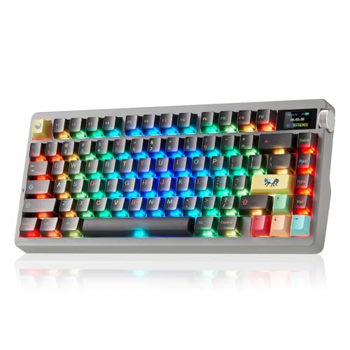 X Aula Nova75 75% Wireless Mechanical Computer Keyboard 8000mAh,Pre-lubed Phantom Cherry Switches,RGB Backlit,Custom Hot Swappable,2.4GHz/Type-C/BT5.0,Gaming Keyboard for Win/Mac/iOS/Android - color: Misty Black