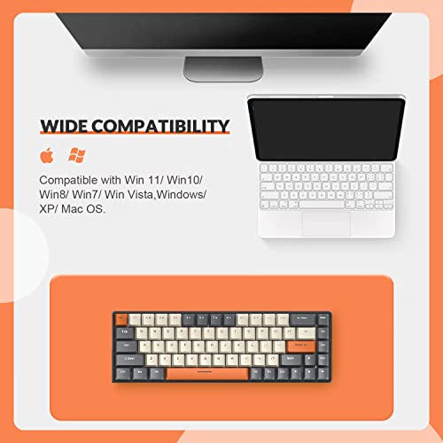 ZIYOU LANG RK-T8 Wired 65% Mechanical RGB Gaming Keyboard-Dark Gray/White | Rainbow Backlit,Anti-ghosting,TKL,Mini 68 Key,Custom Coiled C to A Cable,Tactile Blue Switch for PS4 PS5 Xbox PC Mac Gamer - color: Dark Gray White, size: 65% Keyboard
