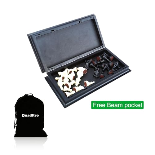 Magnetic Travel Chess Set 9.84 Inches with Folding Chess Board Educational Toys for Kids and Adults, 2 Players