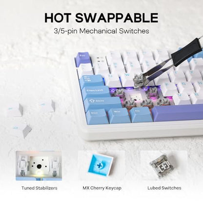 EPOMAKER Aula F108 Wireless Gaming Keyboard, Full Size Mechanical Keyboard with 4000mAh Battery, 108 Hot-Swappable and Programmable Keys, RGB Backlight, for Mac/PC/Android (White&Blue) - color: White&Blue