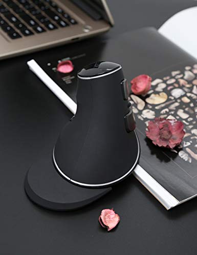 DELUX Ergonomic Vertical Mouse, Wireless Ergo Mouse for Large Hands, 2.4G Connection, Silent Clicks, Up to 1600 DPI,6 Buttons, Removable Wrist Rest, Compatible with Laptop/PC (M618Plus Wireless-Black) - color: 2.4G Wireless