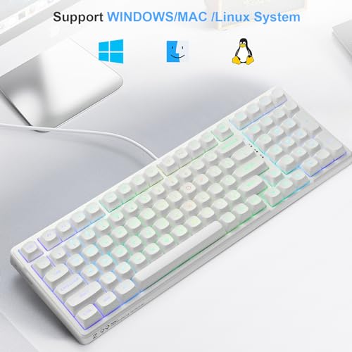HUO JI E-Yooso Creamy Mechanical Keyboard Wired, Hot Swappable, Pre-lubed Linear Switches, Gasket Structure with Sound Dampening Foam, RGB Backlit, 99 Keys Custom Gaming Keyboard for PC/Mac,White - color: White