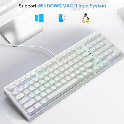 HUO JI E-Yooso Creamy Mechanical Keyboard Wired, Hot Swappable, Pre-lubed Linear Switches, Gasket Structure with Sound Dampening Foam, RGB Backlit, 99 Keys Custom Gaming Keyboard for PC/Mac,White - color: White
