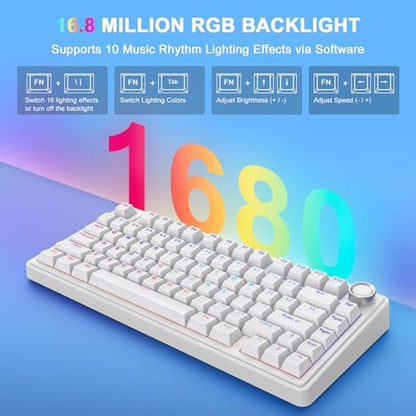AULA F75 - 75% Mechanical Keyboard, Wireless Gaming keyboard BT5.0/2.4GHz/USB-C, Hot Swappable Custom Pre-lubed Switches with Knob, RGB Backlit Shine-Through PBT Keycaps Creamy Sounding Keyboard - color: White