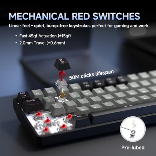 DIERYA DK68 60% Wireless Mechanical Gaming Keyboard, 3-Mode, Bluetooth 5.0/2.4G/USB-C, RGB Backlit, 68-Key Compact Mini for Windows, Mac, Linux - Linear Red Switch - Black/Grey - color: Black Grey/Red Switch