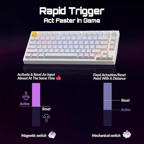 LEMOKEY P1 HE 75% Wireless Custom Mechanical Gaming Keyboard with Gateron Double-Rail Magnetic Switches Knob Version, QMK 2.4 GHz Bluetooth 5.2 RGB Backlight Compatible with Mac Windows Linux - White - color: Shine-Through-White