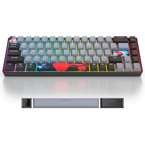 Grey and Black Mechanical Gaming Keyboard 65 Percent, Red Switch RGB Keyboard 65%, 68 Keys Small Wired Key Board, PBT Keycaps Anti-Ghosting Mini Keyboards for Game/Office (68 Dolch) - color: 68 Dolch/Red Switch