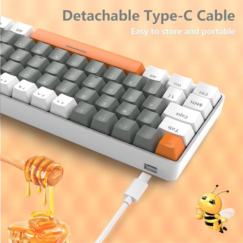 RK-T60 Wired 60% TKL Mechanical Gaming Keyboard Led Rainbow Backlight Ultra-Compact NKRO Linear Red Switch ABS Keycap RGB Honeycomb Mice Coiled Aviator Cable for Windows Laptop PS4/PC/WIN Gamer - color: Light Gray/Red Switch