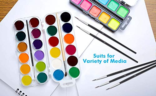 Miniature Detail Paint Brushes, Anezus 30 Pcs Paintbrushes Small Watercolor Artists Paint Brushes for Acrylics Oil Model Craft Nail Detail Painting, Size 00 - size: #00