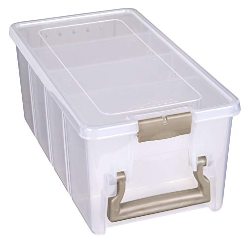 ArtBin Semi Satchel 휴대용 공예 정리함, 칸막이 3개 포함 - 미술 및 공예 용품을 위한 투명 플라스틱 보관 케이스 - color: 골드., size: Pack of 1