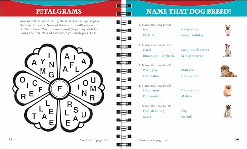 Brain Games - Puzzles and Quizzes: Merriam-Webster’s Word Challenge, Name That Thing, True or False, and More!: Word Challenge, Name That Thing, True or False, and More!