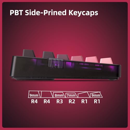 ZORNHER ZH980 Mechanical Keyboard Wireless,95% Pink Creamy Keyboard with Number Pad,Gaming Keyboard with Number Pad,Lighted Up PBT Keycaps,Loud Keyboard Clicky Blue Switches,Full Size - color: Blackberry, size: Clicky Switch
