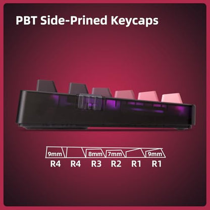 ZORNHER ZH980 Mechanical Keyboard Wireless,95% Pink Creamy Keyboard with Number Pad,Gaming Keyboard with Number Pad,Lighted Up PBT Keycaps,Loud Keyboard Clicky Blue Switches,Full Size - color: Blackberry, size: Clicky Switch