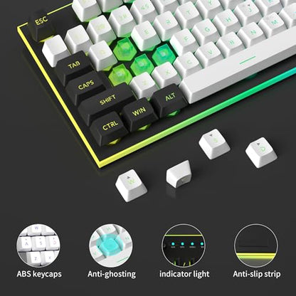 MageGee GT838 Gaming Keyboard and Mouse Combo, 104 Keys RGB Backlit Quiet Wired Keyboards for Laptop PC MAC, with Number Pad, Metal Panel, Anti-Ghosting, White Black - color: White Black